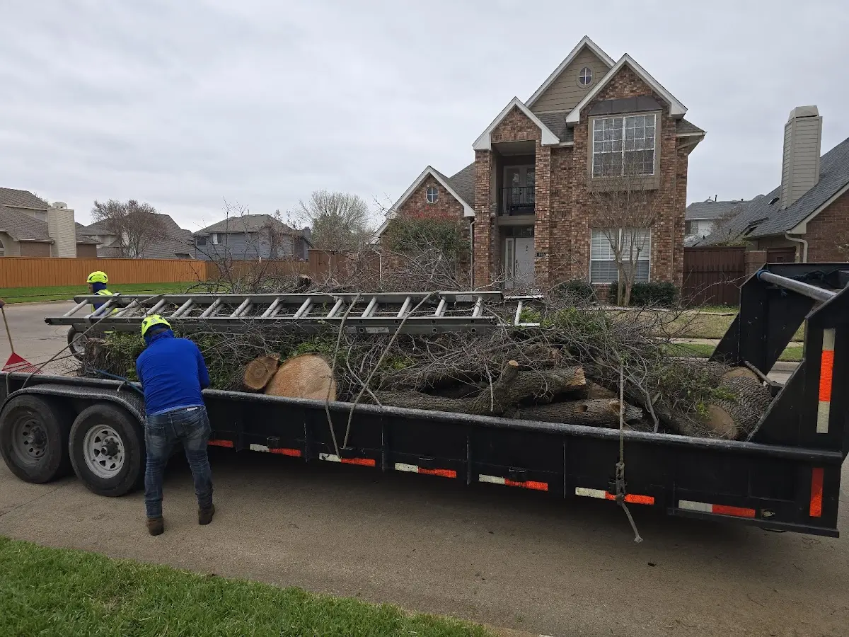 Expert Lot Clearing with proper safety equipment in Lisbon
